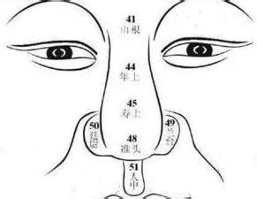 鼻子看相|14种鼻型图解 最全鼻子看相解读命运